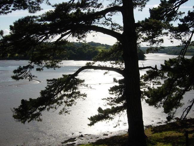 Waterside Holiday Cottages Truro Esterno foto